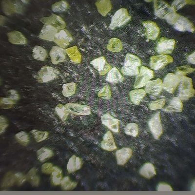 Polvere sintetica per la macinazione dei diamanti per la lucidatura dei gioielli Xinrui polvere di diamanti