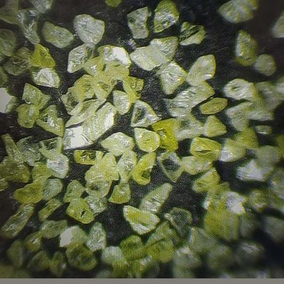 Classificazione dei diamanti artificiali Polvere di diamanti sintetici per la produzione di segmenti di diamanti