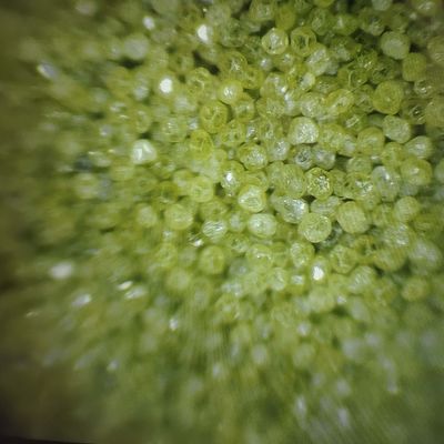 Rvd industriale polvere sintetica di diamanti per l'efficienza della produzione di utensili di diamanti