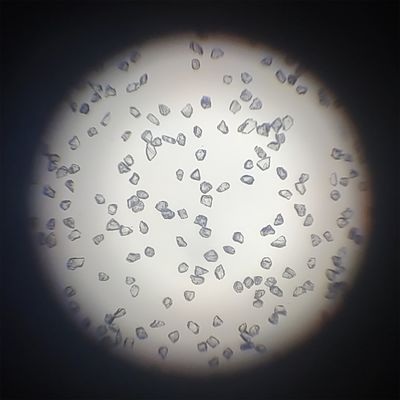 Polvere di diamanti sintetici per fare pasta di lappazione Classificazione del pagamento completo artificiale