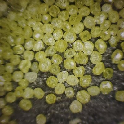 Migliora il tuo processo di lucidatura del vetro con grana di polvere di diamanti Xinrui Industrial